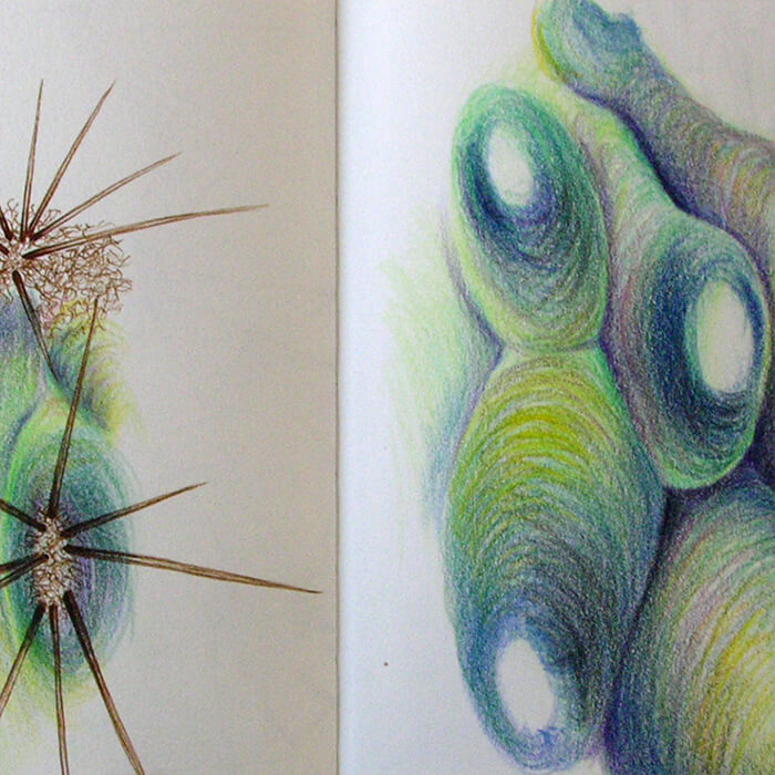 Sketchbook